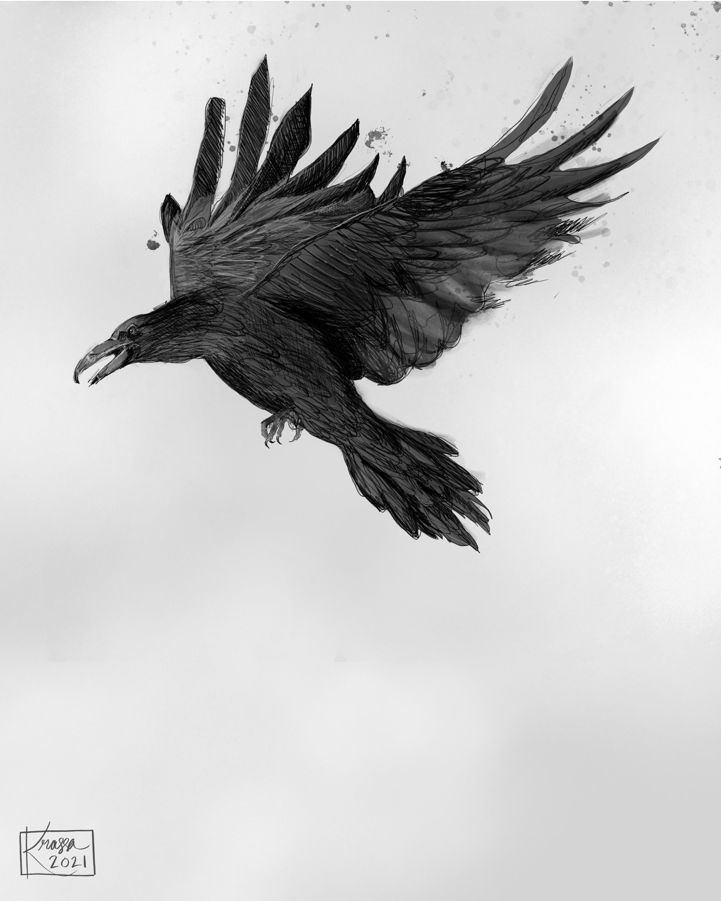 Raven Flying Drawing