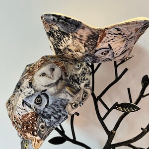 Bowl Cozy - Owl – Book Gizmo