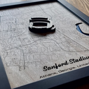 Arte mural del estadio de Sanford / Georgia Bulldogs / Madera grabada con láser / Efecto acrílico con agua