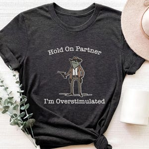 Hold On Partner Im Overstimulated Shirt, Cowboy Frog Sweatshirt, Unhinged Tshirt, Weirdcore Outfits, Gen Z Sweater, Funny Meme Hoodie Tee, Cowgirl Frog Women Sweatshirts, Western Frogs Girl Party Hoodies, Frog Gun Vacation Shirts,Holiday Cowgirls Tee
