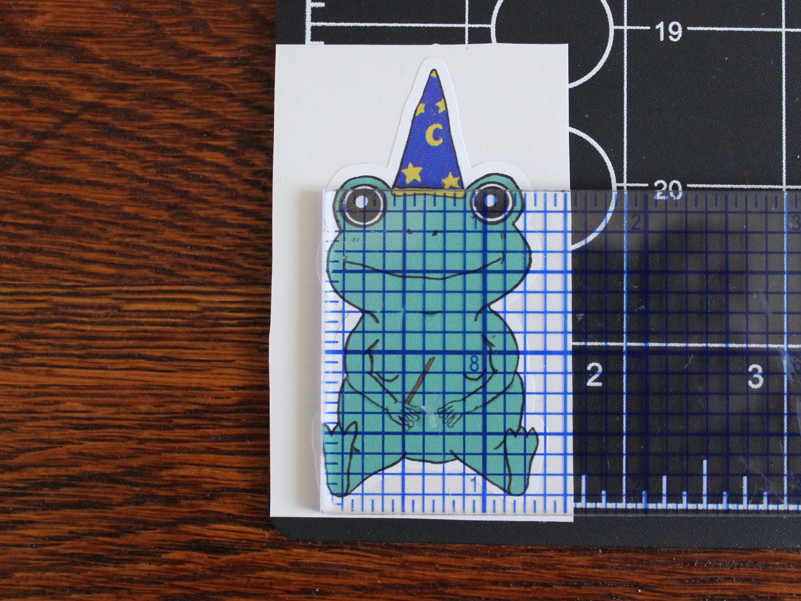 Frog Wizard Vinyl Sticker Gloss - Etsy