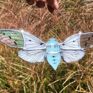 Ghost Cicada Stained Glass