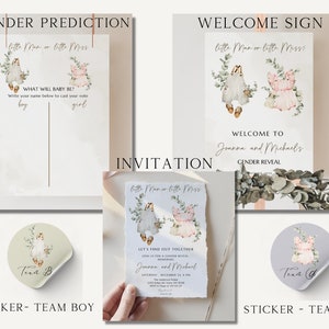Boho Gender Reveal-pakket, rustieke gender-uitnodigingsbundel, gender-reveal-uitnodiging, gender-reveal-ideeën INSTANT DOWNLOAD