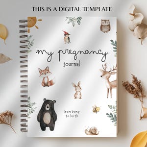 Pregnancy journal, Pregnancy Planner, My Pregnancy Album, My Baby Girl Book, Baby Girl Gift, Pregnancy Diary, Baby Shower Gift Template