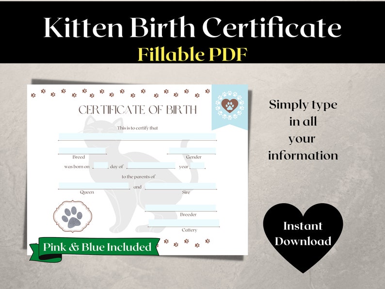 Kitten Birth Certificate | Cat Birth Certificate | New Kitten Gift ...