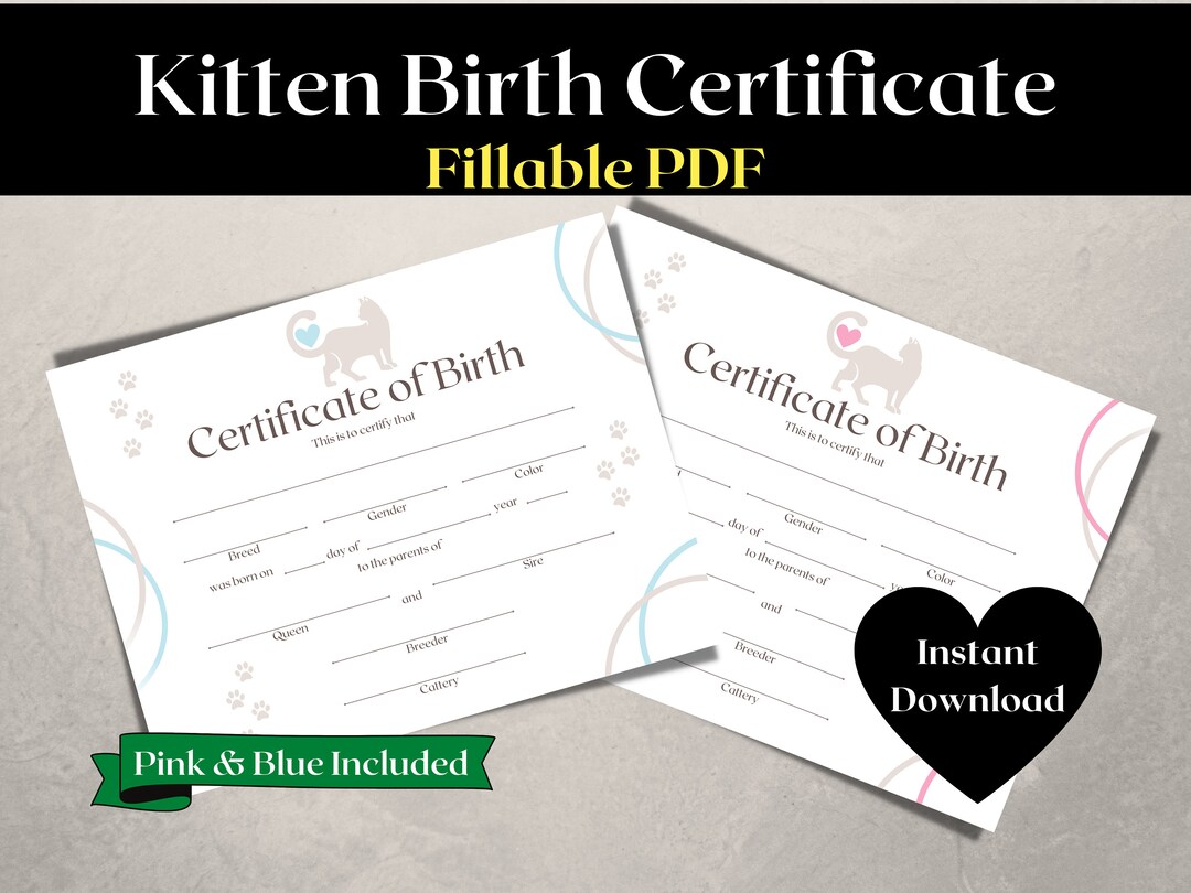 Kitten Birth Certificate | Cat Birth Certificate | New Kitten Gift ...