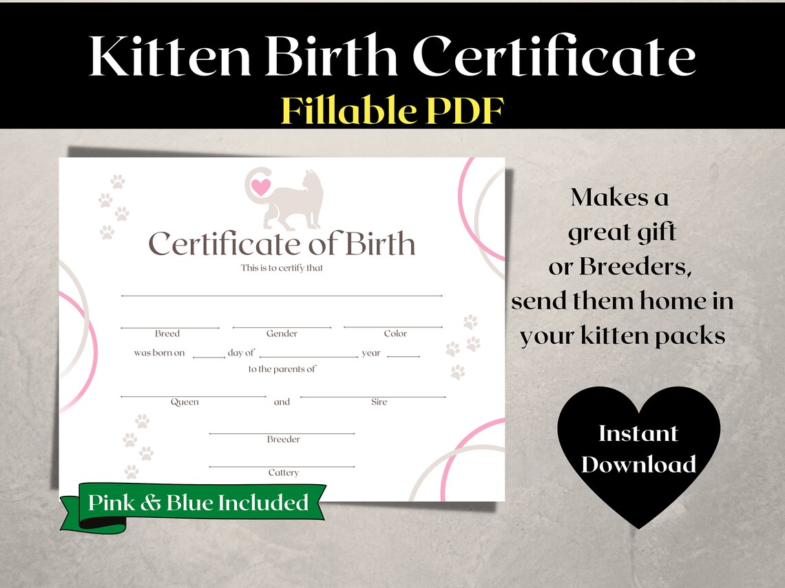 Kitten Birth Certificate Cat Birth Certificate New Kitten Gift ...