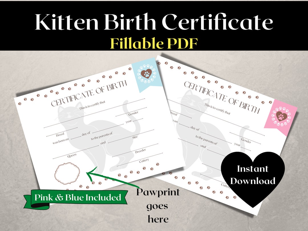 Kitten Birth Certificate | Cat Birth Certificate | New Kitten Gift ...