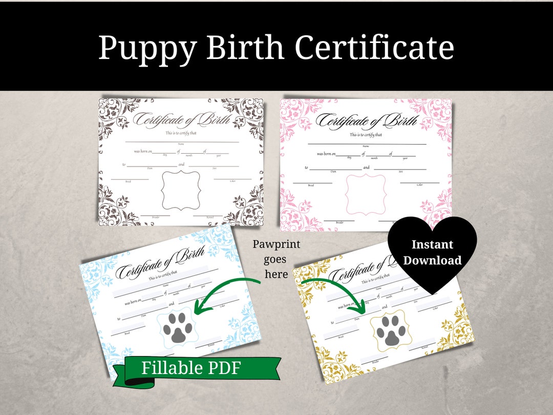 Puppy Birth Certificate Printable Fillable PDF Area to Add Paw Print