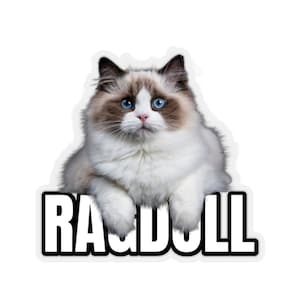 Ragdoll Cat Cute Sticker