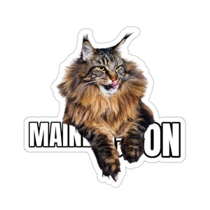 Autocollant Maine Coon Cat