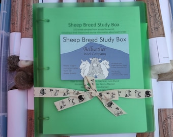 Sheep Breed Study Box