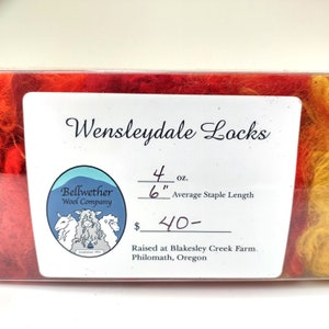 Hand Dyed Wensleydale Wool - Autumn Fluffy Locks - Felting