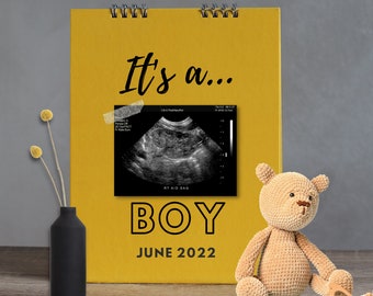 Stuffed Animal Teddy Bear Pregnancy Announcement - Digital Download