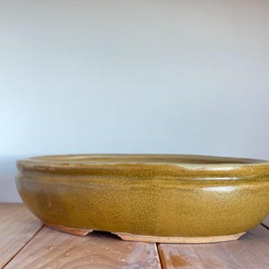 May include: A glazed, ceramic bonsai pot in a warm, earthy tone. The round, shallow container has a slightly textured surface and a rolled rim. The pot sits on a wooden surface, with a neutral background.