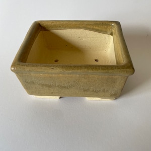 May include: A rectangular ceramic planter with a light green glaze and a white interior. The planter has three drainage holes and sits on four small feet.