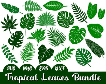 Tropical Leaves SVG bundle, leaves SVG, tropical svg, svg bundles, files for cricut, leaves png, svg, silhouette files