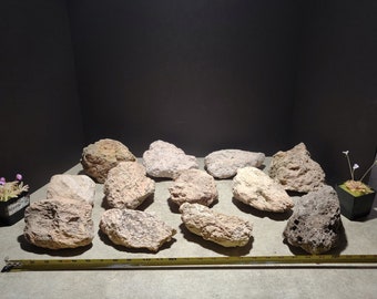 Piedra pómez - Pequeña