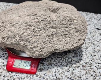 Pumice Stone