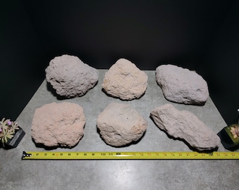 Pumice stone - Large