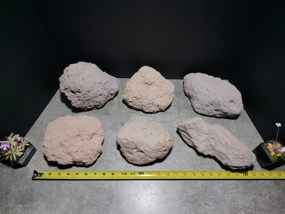 Medium Pumice Stone 6 x 6 Inch | Natural Volcanic Rock | Horticultural Gardening, Terrarium, Aquarium Substrate