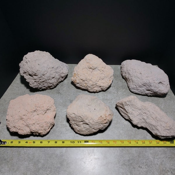 Pumice stone - Large