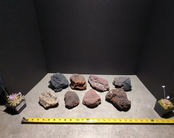 May include: Nine pieces of dark gray, brown, and red lava rock. The rocks are arranged in a semi-circle on a gray surface. A yellow measuring tape is in the bottom of the image.