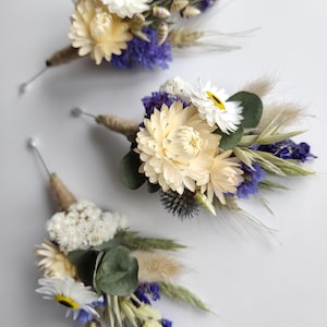 May include: Three floral buttonholes featuring cream-coloured strawflowers, white daisies with dark centres, blue statice, green eucalyptus leaves, dried wheat stalks, and fluffy beige pampas grass, all wrapped in natural jute twine with a silver pin.