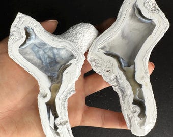 Agatized Fossil Coral Angel Wings Geode Pair Rare Color Cut & Polished UV-Reactive