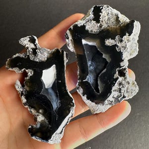 Agatized Fossil Coral Geode Pair Rare Color Cut & Polished UV-Reactive