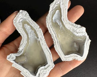 Fossil Finger Coral Rare Druzy Agatized Geode Cut & Polished Pair UV Reactive Well Preserved