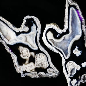 瑪瑙化石サンゴジオード指ペア 希少な大型ドゥルージーボトリオイド厚