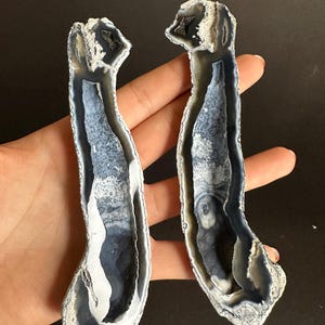 Achatisierte Korallen Finger Geode Paar Seltene Schwarz Blau Cut & Poliert