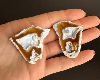Agatized Coral Geode Pair RARE Red Color Cut & Polished UV-Reactive Fossil