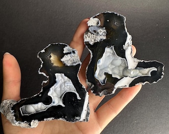 化石サンゴジオードペア 希少カラーカット＆ポリッシュ UV反応性