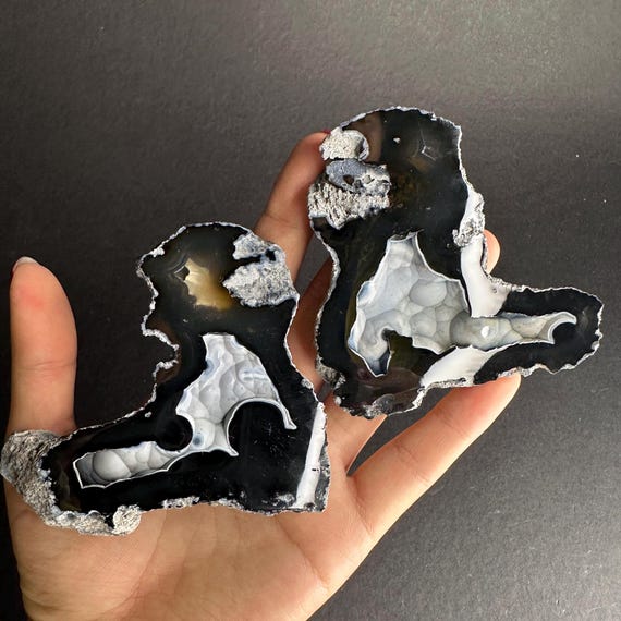 化石サンゴジオードペア 希少カラーカット＆ポリッシュ UV反応性