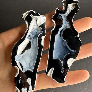 Agatized Fossil Coral Geode Pair Rare Color Cut & Polished UV-Reactive
