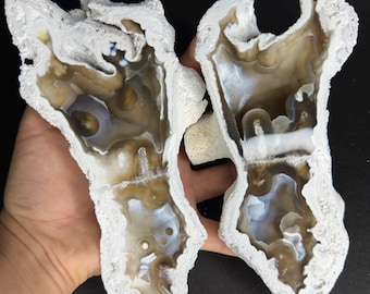 Agatized Fossil Coral Geode Pair RARE LARGE Blue/Honey Botryoidal Thick Agate Cut & Polished UV-Reactive