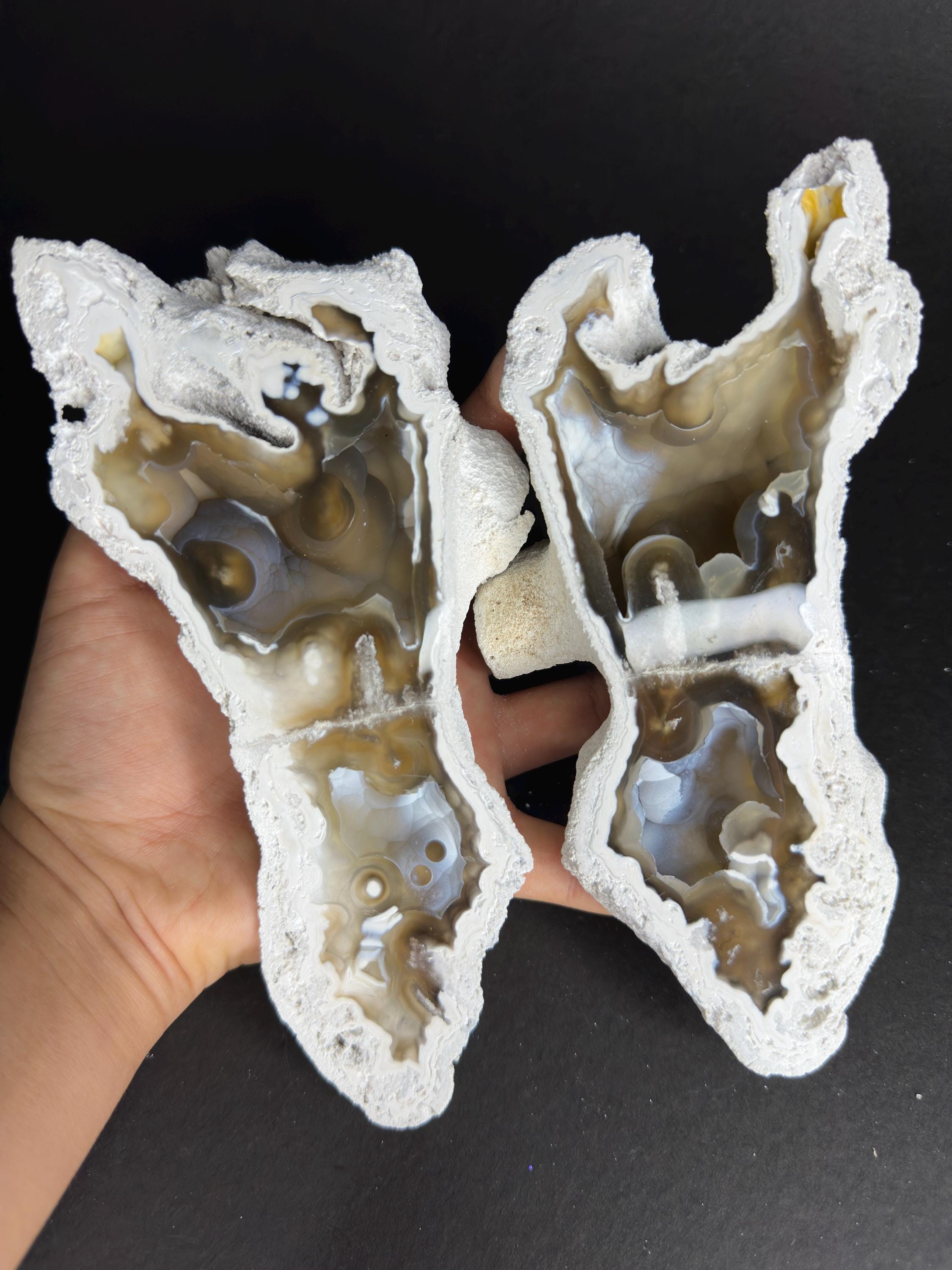 瑪瑙化石サンゴジオードペア 希少な大型ブルー/ハニーブドウ状厚瑪瑙