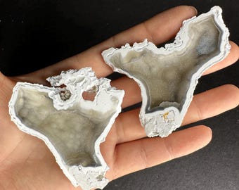Agatized Fossil Coral Geode Druzy Pair Rare Color Cut & Polished UV-Reactive Well Preserved
