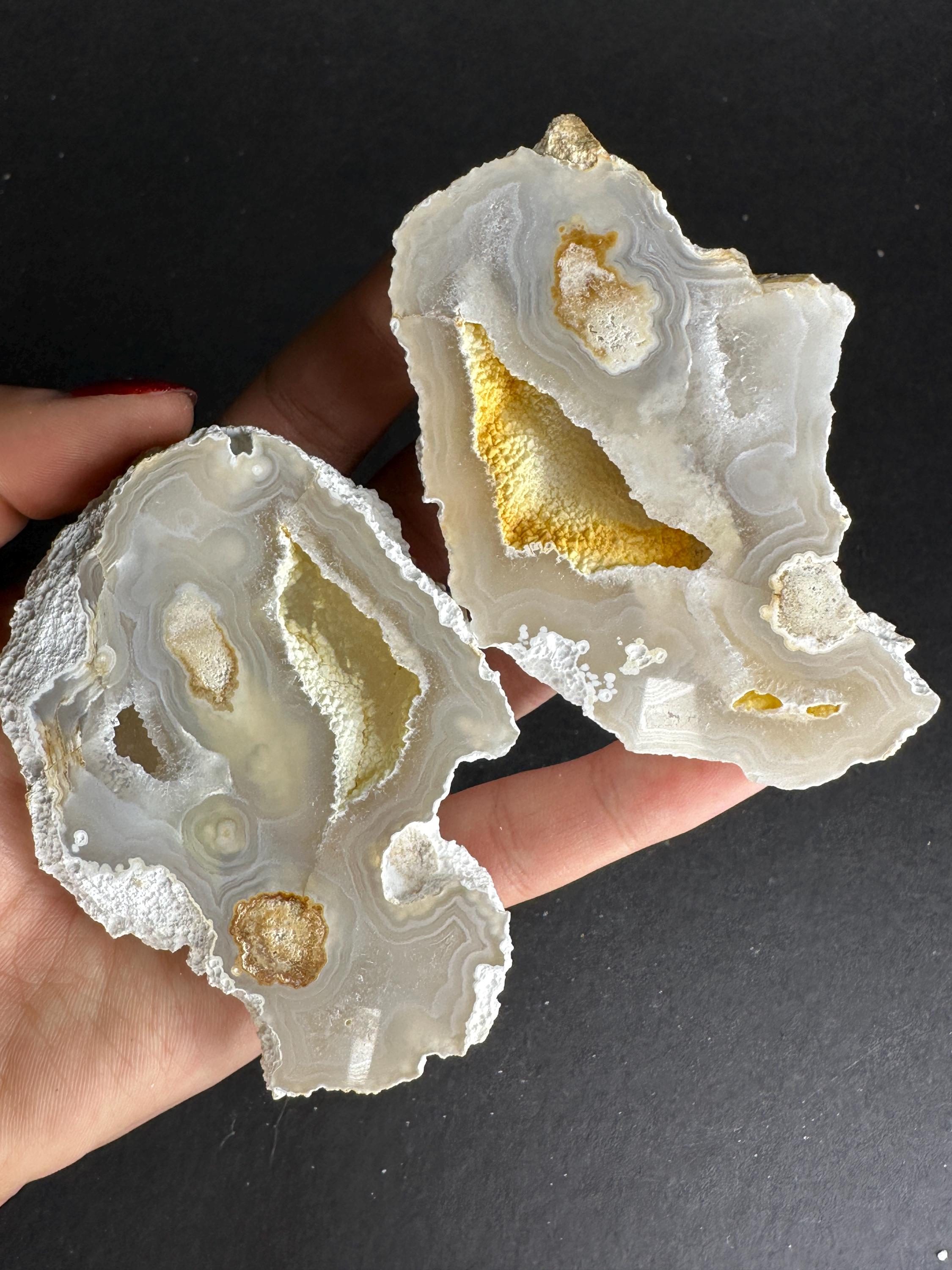 稀少 天然 赤珊瑚 原石 結晶 鉱物標本 パイプオルガン珊瑚 アクアリウム