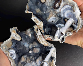 Agatized Fossil Coral Geode Pair Rare Color Large Cut & Polished
