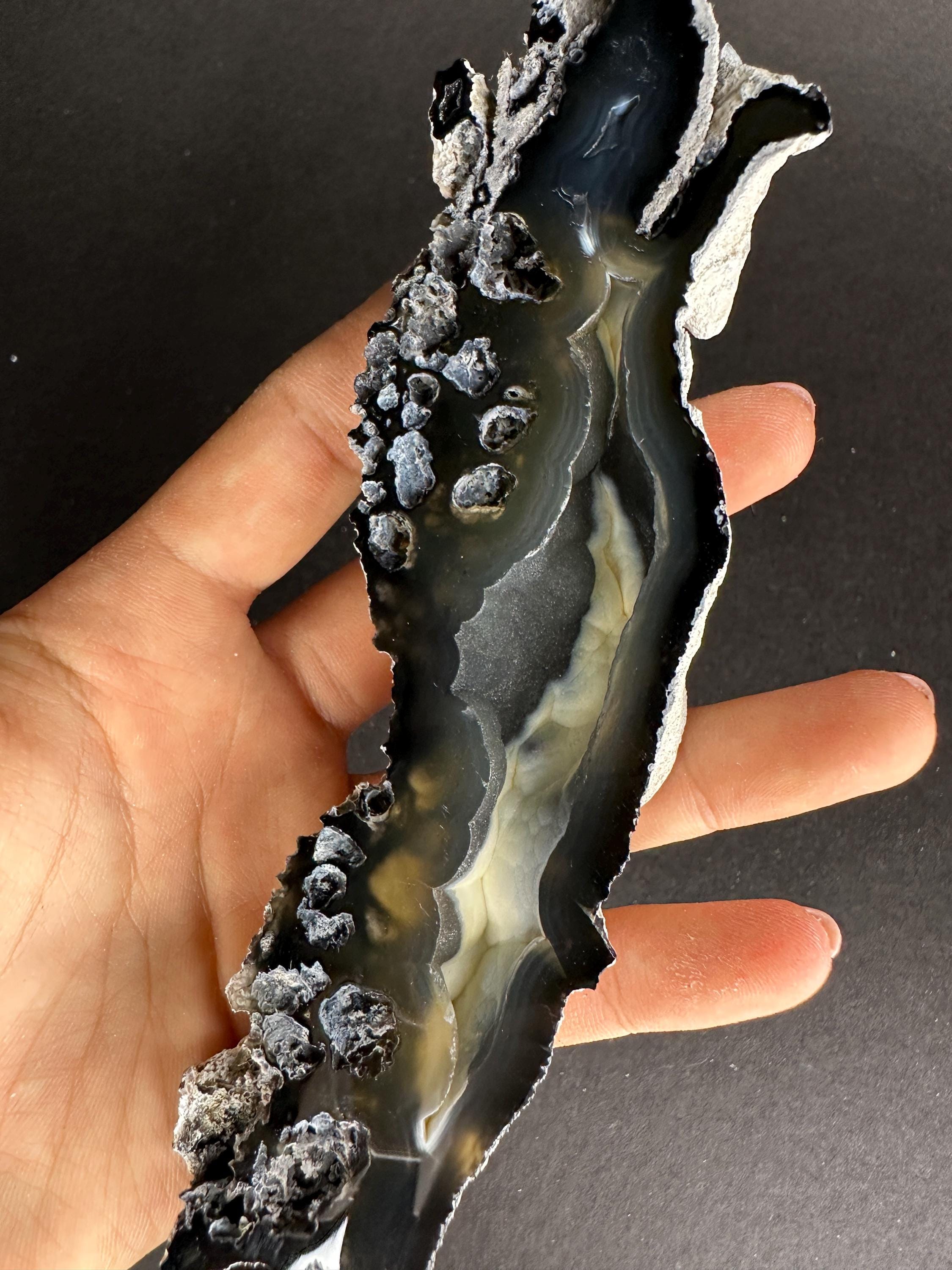 瑪瑙化石サンゴジオード指ペア 希少な大型ドゥルージーボトリオイド厚