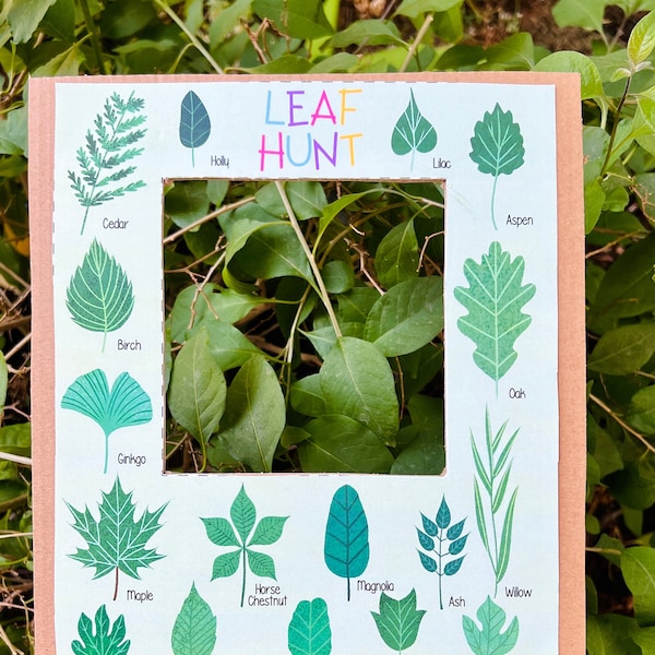 Leaf Hunt, Leaf Printable, Preschool Learning, Nature Learning, Preschool Printables, Preschool Activity, Leaf Types, Kid Learning Printable