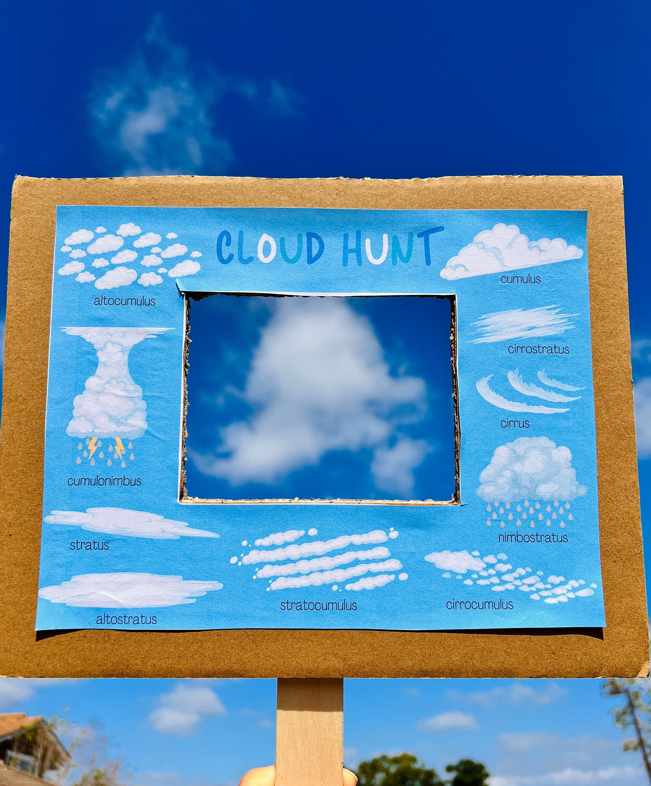 Cloud Hunt Printable: Nature Learning for Kids (digital Download) - Etsy