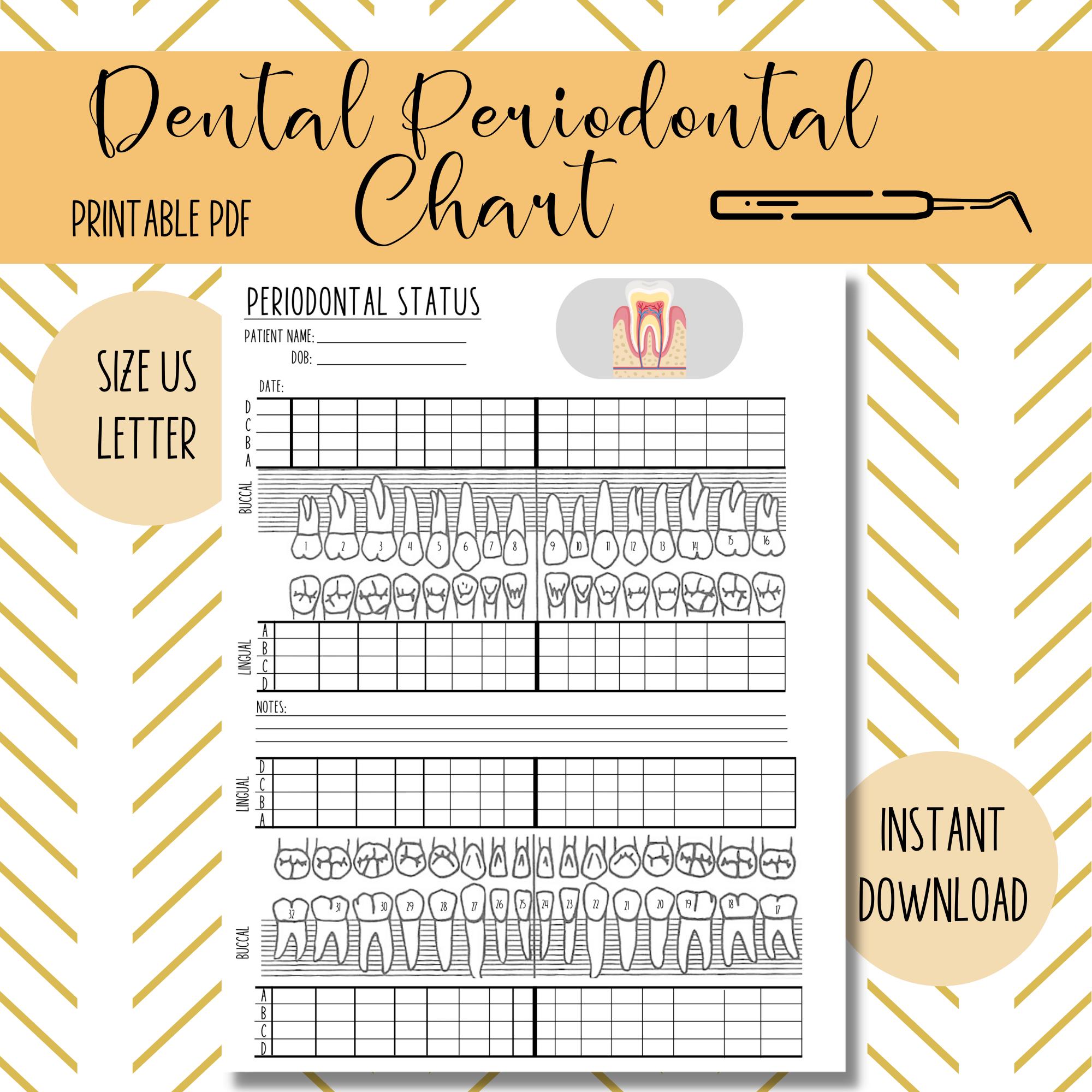 periodontal-chart-etsy for Free Printable Blank Perio Chart Periodontal Chart - Etsy for Free Printable Blank Perio Chart
