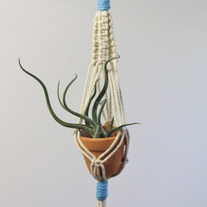 May include: A white macrame plant hanger with a blue accent and a small terracotta pot with a green air plant inside.
