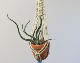 Mini Macrame Plant Hanger w/Terracotta Pot, car decor, office decor, plant lover gift, cute plant decor, wedding favor, party favor