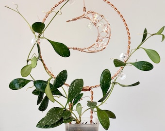 Hoya Trellis Moon /Decorative Trellis/Houseplant Accessory/Plant Trellis/Plant Accessory’s/Indoor Houseplant Trellis