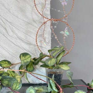 Hoya Trellis Butterfly Trellis/Houseplant Accessory/Plant Trellis/Plant Accessory’s/Indoor Houseplant Trellis
